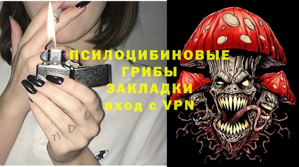 гидра Кинешма