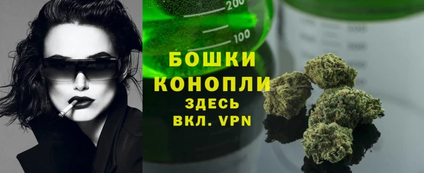 гидра Кинешма