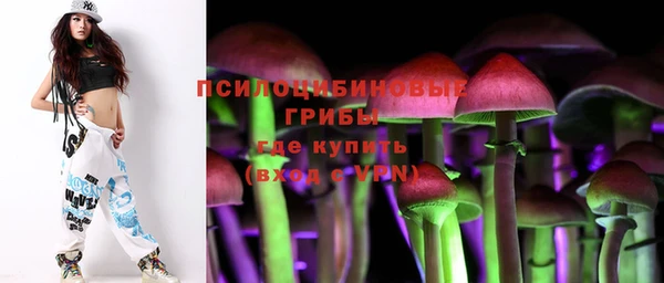 прущая мука Киреевск