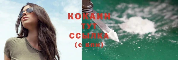 трава Карпинск