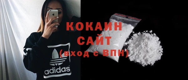 трава Карпинск