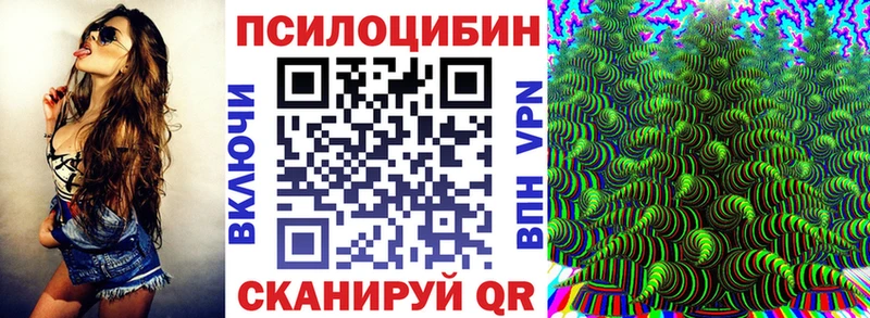 Галлюциногенные грибы Psilocybine cubensis  Купить закладки  Советск 